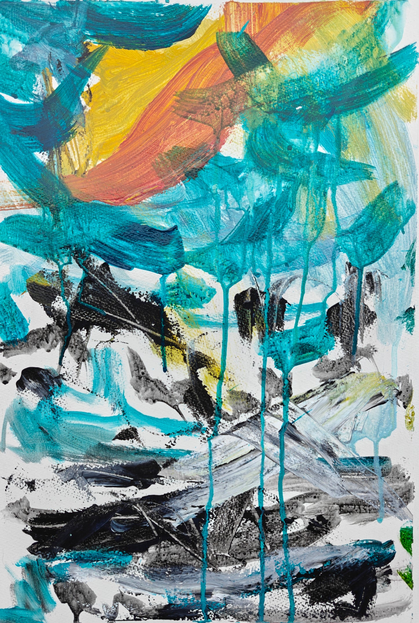Birds - Study on Freedom of Expression